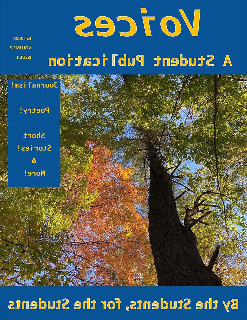 Cover of 的声音, volumne 2 issue one includes a photo taken from the base of a tall tree, looking up at blue sky through autumn-colored foliage